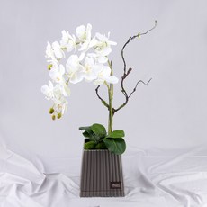 행복한세상 고급 9대접 화분