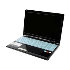 카라스 삼성 노트북9 올웨이즈 NT900X5i 컬러 카스킨 A타입, 블루, 1개