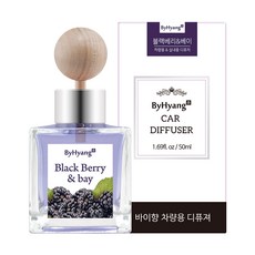 바이향 차량용 디퓨저 리뷰후기