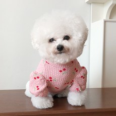 강아지 앵두 티셔츠 리뷰후기