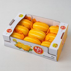 성주 지리적 표시 인증 참외