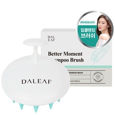 달리프 베러 모먼트 샴푸브러쉬 리뷰후기