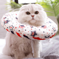멍지 강아지 고양이 넥카라 별 천지 아메리카