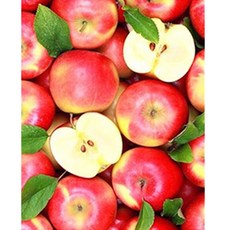 알로데 싱그러운 사과 풋사과 DIY 보석십자수 스퀘어 40 x 50 cm, 6, 1개