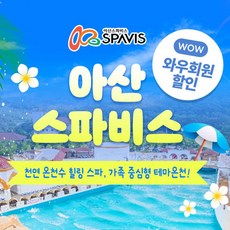 [충남] 8월 한정 특가★ 아산 스파비스 1인 종일권+구명조끼PKG