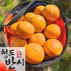 고당도 씨없는 청도반시 리뷰후기