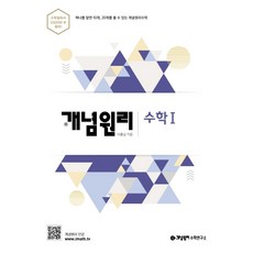 개념원리 고등 수학1:하나를 알면 10 20개를 풀 수 있는 개념원리수학