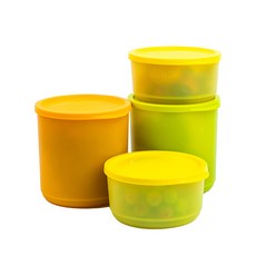 타파웨어 Tupperware 타파웨어 싱싱블록 냉동용기 4 종 세트1.1L x 2p+530mL x 2p, 4 종 세트