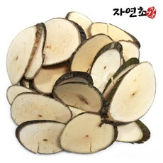 자연초 벌나무 굵은가지 산청목 가지