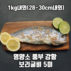 영양소 풍부 강황 보리굴비 5미 내외 명절선물세트 리뷰후기