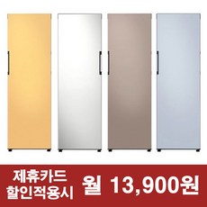 삼성 비스포크 냉장고 4가지색상 / 렌탈 RZ24T5640A 리뷰 후기