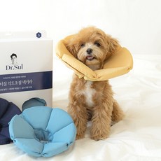 반려동물 닥터설 각도조절 넥카라 블루 S
