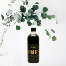 빈스원 스페셜티 콜드브루 더치커피 예가체프 원액 리뷰후기
