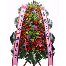 없음 축하3단 리뷰후기