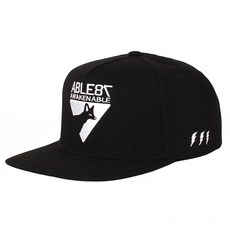 DESERT FOX EMBLEM SNAPBACK 리뷰후기