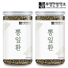부영한방약초 뽕잎환
