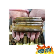 이번주 마지막 할인! 맛조개 Best 5_제철 충청도 태안 맛조개 대맛조개 죽합 10미 550-650g내외, 제철 충청도 태안 맛조개 대맛조개 죽합 10미 550-