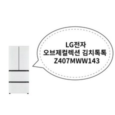 LG전자 오브제컬렉션 김치톡톡 Z407MWW143