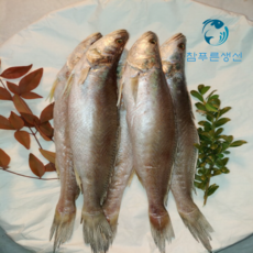 반건조 손질되어 편한 제사생선 차례상 반찬용생선 민어조기 영상가이석태 뾰족 말린생선 손질생선 리뷰후기