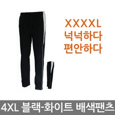 빅몬 4XL 남자 빅사이즈 기모바지 츄리닝/트레이닝복바지 리뷰후기