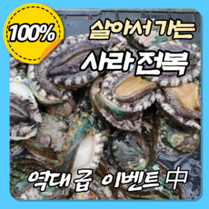 살아서가는 사라전복 전복 특대 8-9미 전복선물세트 직거래 꼬마 손질 선물용 대형 부모님 선물 생일 스승의날 시부모님 엄마 명절 생신 완도 진도 리뷰후기