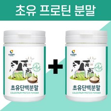 소 초유 단백질 프로테인 ROTIN 마시는 분말 가루 보충제 면역 글로블린 콜로스트롬 콜로스트럼 고단백 A 류신 유신 동물성 리뷰 후기
