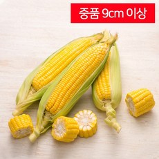 구미당기는 초당옥수수 10개