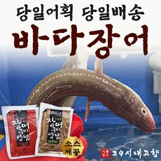 통영 자연산 손질 바다장어 구이용 1kg 붕장어 아나고 장어, 바다장어 1kg 대 (2-4마리)