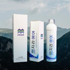 식약처 인증 공식 파트너 지리산 프리미엄 휴대용 공기캔 맑은공기 리뷰후기