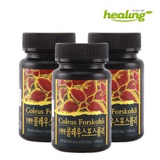 엠엠스토어 콜레우스포스콜리 60정 3통3개월분