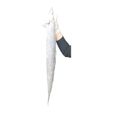 목포 먹갈치 특대 국내산 마리당 내외 자갈치경매 토막 손질후 이상 리뷰후기