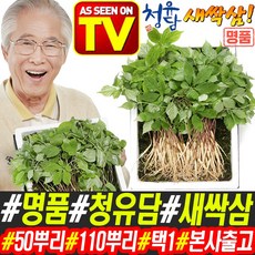 TV홈쇼핑 명품 청유담 새싹삼 50뿌리 110뿌리 택1 산양삼 장뇌삼 새싹 인삼 삼 배양근 사포닌 국산 리뷰후기
