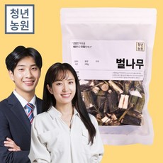 청년농원 벌나무가지