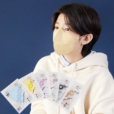 아이코코 컬러 새부리형 마스크