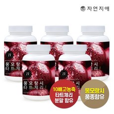 자연지애 몽모랑시 타트체리 추출분말 10배 고농축 타트체리 리뷰후기