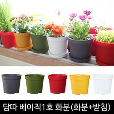 세경팜 컬러베이직 플라스틱 화분 받침세트