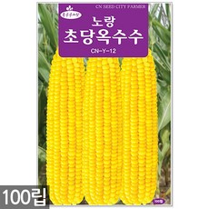 청농종묘 노랑 초당옥수수 씨앗 100립 초당옥수수씨앗 노랑옥수수씨앗 옥수수씨앗 옥수수씨, 15_노랑초당옥수수(100립)