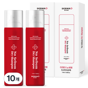아케이 더마 노세범 휴대용 드라이샴푸 프레쉬 우디머스크향, 110ml, 10개
