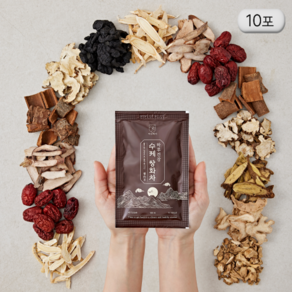 미인백서 수제 쌍화차 선물세트, 1개, 100mg, 10개입