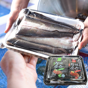 [왕특대] 자연산 통영 손질 장어 바다장어 특대 1kg 2kg 3kg 당일배송, 1-4. [특대] 4kg 8-12마리, 1개