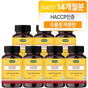 자생 커큐민 앤 바이오페린, 120정, 7개