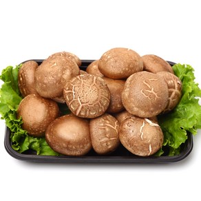 신선라이프 무농약 국내산 명품 표고버섯, 1박스, 1kg(상품)