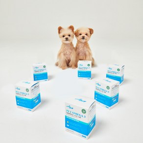 웰찹 식물성 강아지 고양이 펫 Omega 3 트리플 알티지 500 어취제로 알러지프리 30ea, 6개, 오메가3, 30회분