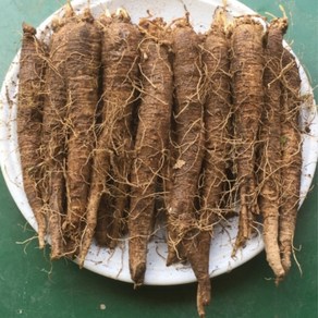 횡성더덕농장 더덕 상품 1kg, 1개, 상품1kg