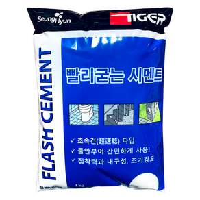 Seunghyeon 快硬水泥白 1kg, 1個