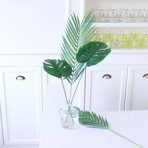 MORIANN Harmony Monstera 2p + Areca Coconut 2p + 經典圓形圓頂玻璃瓶套組, 綠色