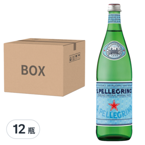 SANPELLEGRINO 聖沛黎洛 氣泡天然礦泉水, 1L, 12瓶