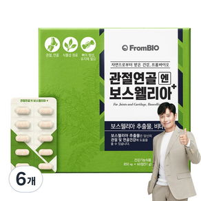 FromBIO 關節軟骨保健乳香錠 51g, 60顆, 6個