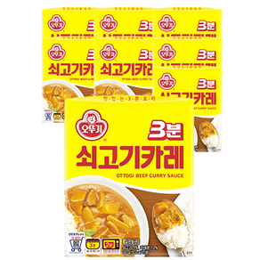 OTTOGI 不倒翁 3分鐘牛肉咖哩調理包, 200g, 8盒