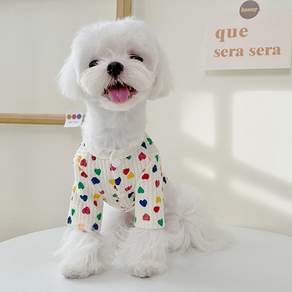 petitdog Pet 可愛開衫 DK027, 一種顏色